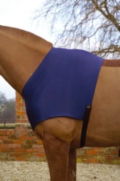 Mark Todd Lycra Shoulder Guard