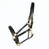 Ascot Padded Leather Headcollar