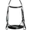 Ascot Plain Bridle