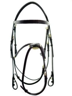 Ascot Grackle Bridle