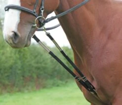 Shires Nylon Harbridge Training Aid