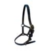Ascot Foal Halter