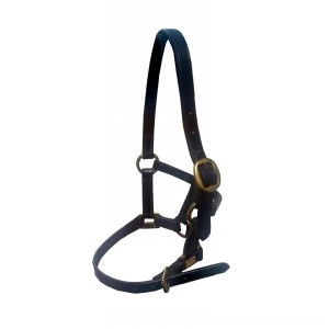 Ascot Foal Halter 1 Ascot Foal Halter