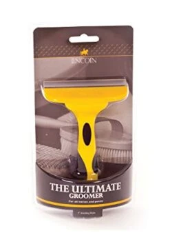 Lincoln The Ultimate Groomer