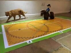 Crafty Ponies Dressage Arena