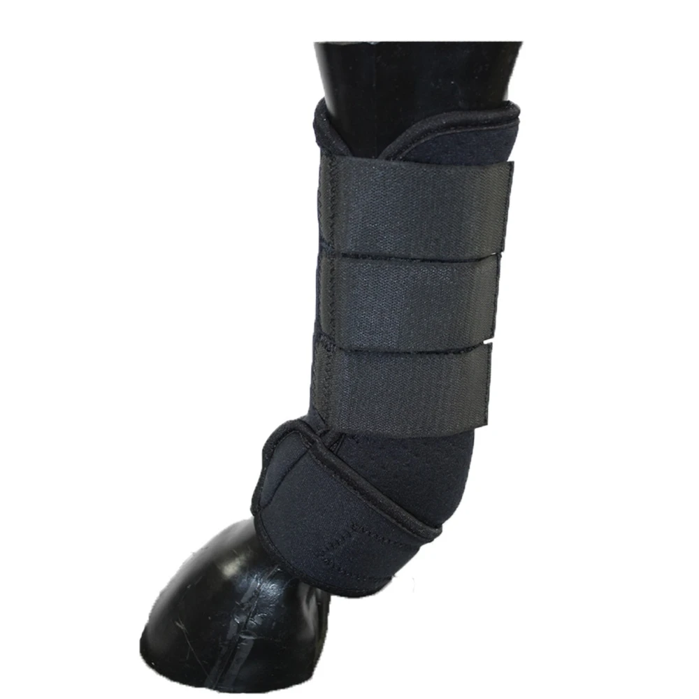 EDT Perforated Horse Boots 1 EDT Perforated Horse Boots