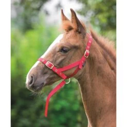 Shires Nylon Foal Slip