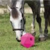 Shires Feeder Ball