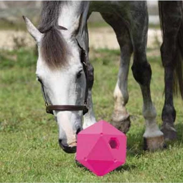 Shires Feeder Ball 1 Shires Feeder Ball