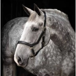 Horseware Rambo Micklem Headcollar