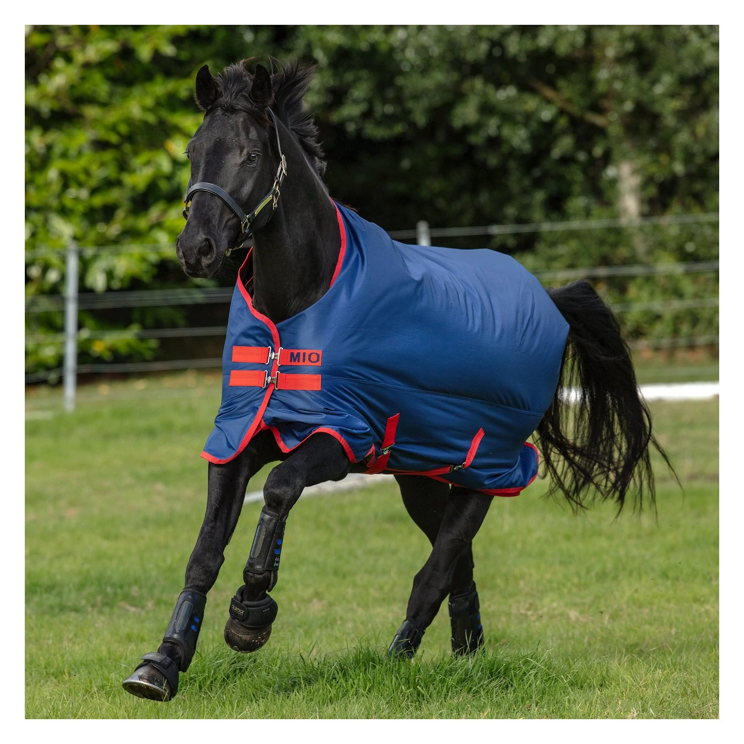 Horseware Amigo Mio 200g Turnout 2 Horseware Amigo Mio 200g Turnout - Image 2
