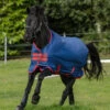 Horseware Amigo Mio 0g Turnout