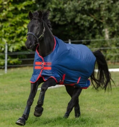Horseware Amigo Mio 0g Turnout