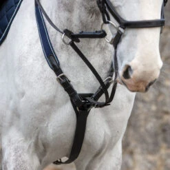 Rambo Micklem Breastplate