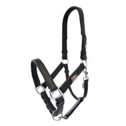 Equilibrium Stellar Headcollar