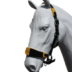EDT Newmarket Headcollar