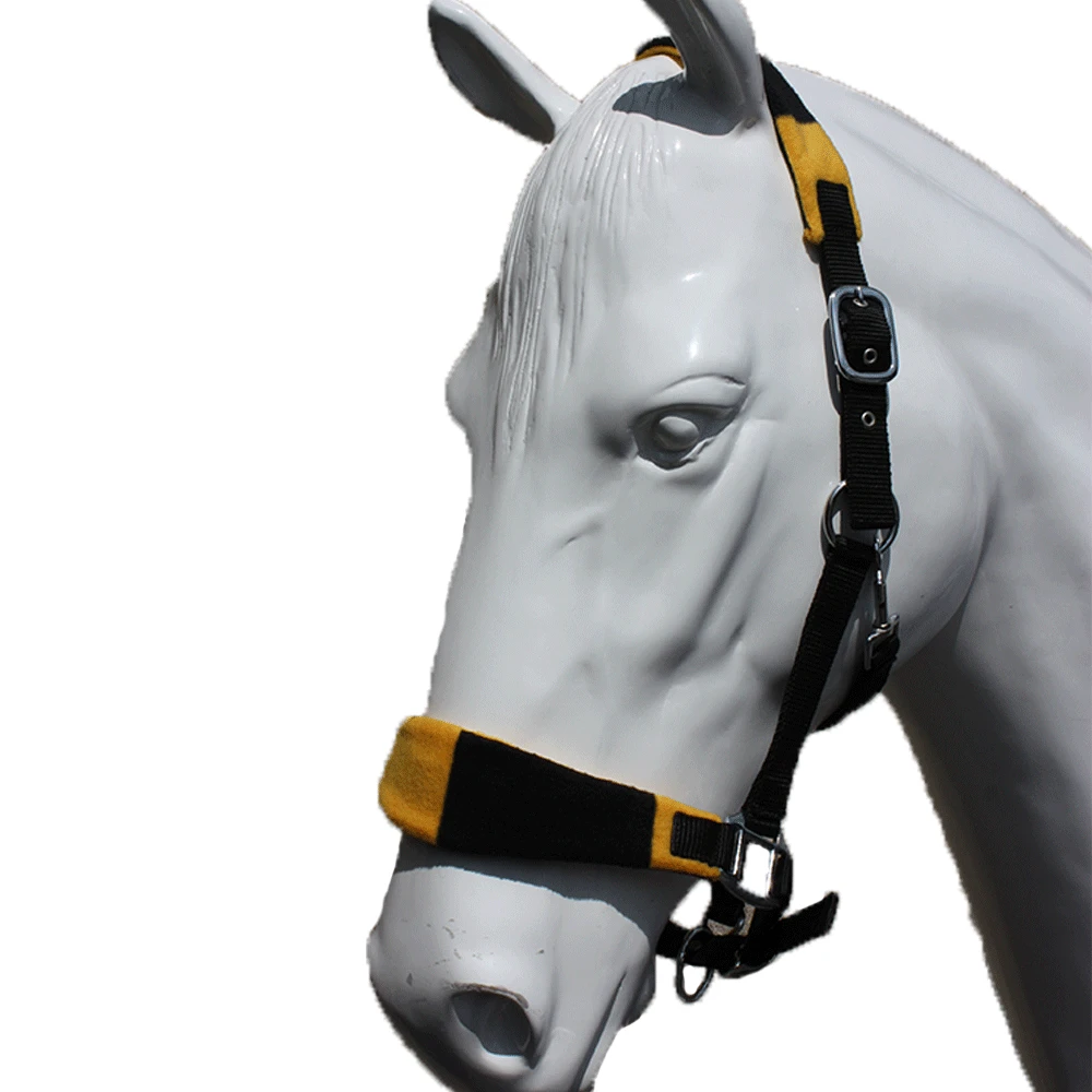 EDT Newmarket Headcollar 1 EDT Newmarket Headcollar