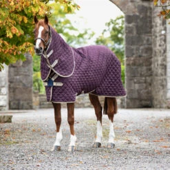 Horseware Amigo Plus 200g Disc Front Stable