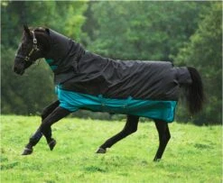 Horseware Amigo Mio 200g Allinone Turnout