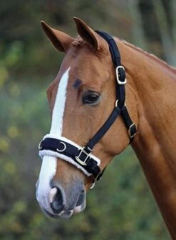 Shires Fleece Lunge Cavesson