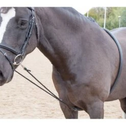 Shires Soft Lunging Aid