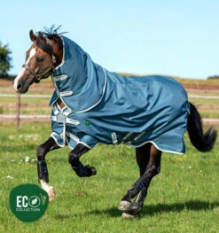 Horseware Amigo Ameco Bravo 12 Plus 0g Turnout