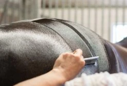 Km Elite Smart Grooming Quarter Marking Spray -Tack Shop 0000013547