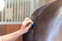 Km Elite Smart Grooming Quarter Marking Spray -Tack Shop 0000013548