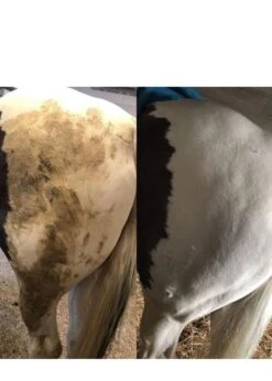 Km Elite Smart Grooming Polar White Spray -Tack Shop 0000013551