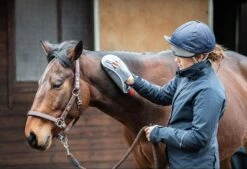 Tack Shop 3 Tack Shop -Tack Shop 0000013601