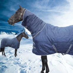 EDT Stable Rug 100g Or 200g