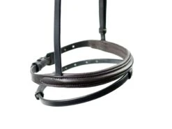 Ascot Padded Flash Noseband