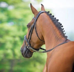 Bridleway Lavello Padded Crank Flash Bridle