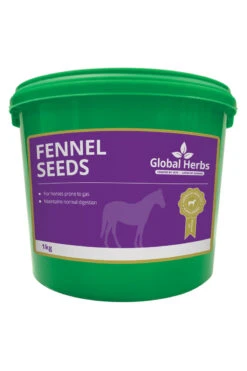Global Herbs Fennel Seeds