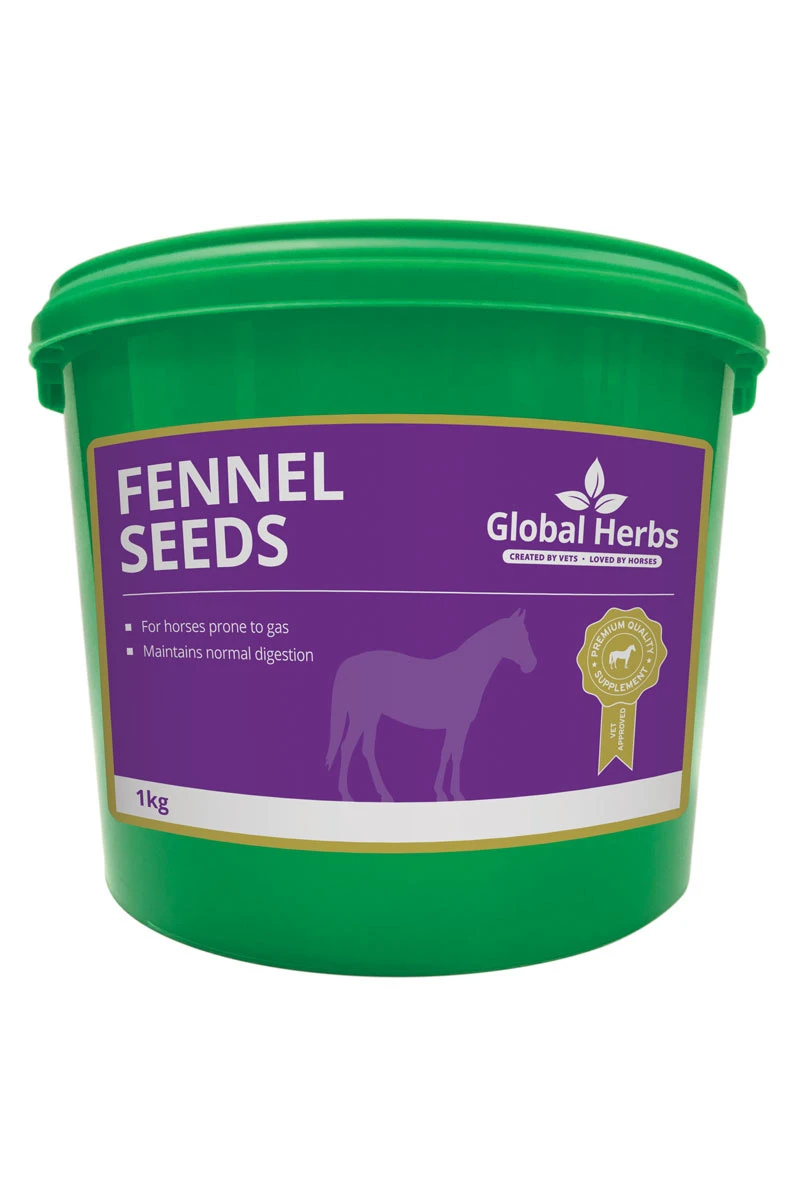 Global Herbs Fennel Seeds 1 Global Herbs Fennel Seeds
