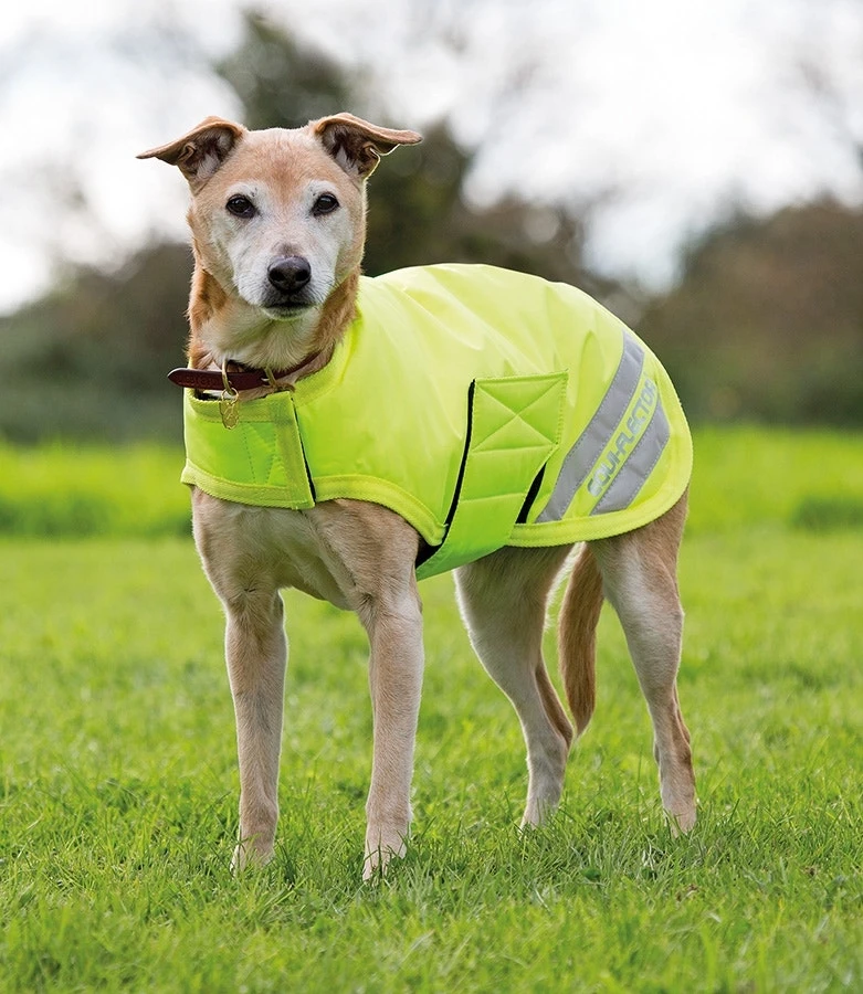 6895 Shires Equi-flector Dog Coat 1 6895 Shires Equi-flector Dog Coat