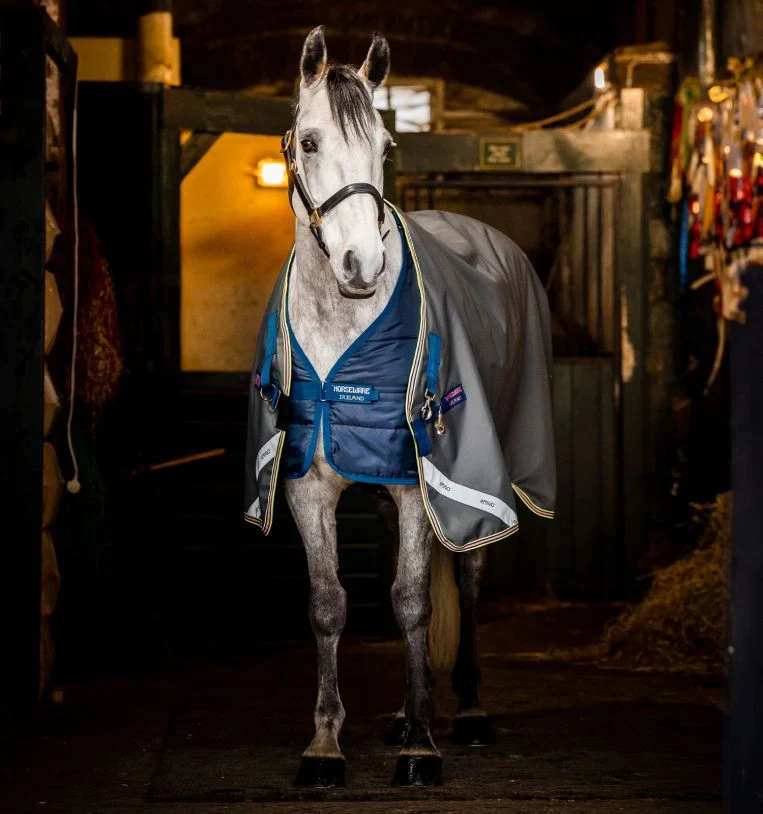 Tack Shop 20 Tack Shop -Tack Shop aardm2 jbzl amigo bravo 12 plus bundle turnout 50g outer with 100g liner and 200g liner front liner view dinctr03i4p01ers