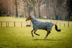 AMIGO BRAVO 12 PLUS BUNDLE (50G + 100G + 200G) 9 AMIGO BRAVO 12 PLUS BUNDLE (50G + 100G + 200G) -Tack Shop amigo bravo 12 plus bundle 50g 100g 200g 17992