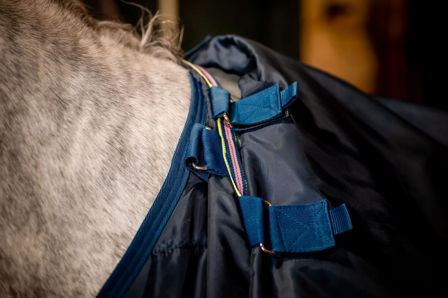 AMIGO BRAVO 12 PLUS BUNDLE (50G + 100G + 200G) 5 AMIGO BRAVO 12 PLUS BUNDLE (50G + 100G + 200G) - Image 5