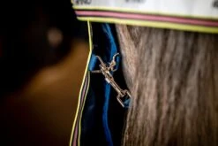 AMIGO BRAVO 12 PLUS BUNDLE (50G + 100G + 200G) 12 AMIGO BRAVO 12 PLUS BUNDLE (50G + 100G + 200G) -Tack Shop amigo bravo 12 plus bundle 50g 100g 200g 17995