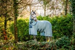 AMIGO BUG BUSTER PLUS