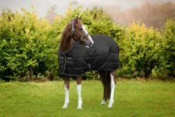 AMIGO DIAMOND INSULATOR ORIGINAL 200G