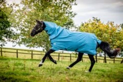 AMIGO HERO 900D REVIVE PLUS 50G