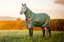 Horseware Hero Ripstop Medium Plus Turnout