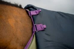 Horseware Hero Ripstop Medium Plus Turnout -Tack Shop amigo hero ripstop medium plus 17539