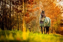 Horseware Amigo Hero Ripstop Lite Plus Turnout