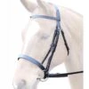 Bridleway Lavello Cavesson Bridle With Reins