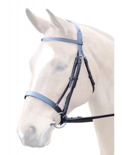 Bridleway Lavello Cavesson Bridle With Reins