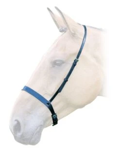 Bridleway Lavello Cavesson Noseband