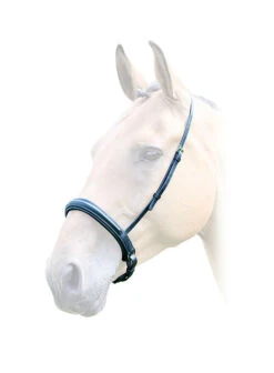 Bridleway Lavello Padded Cavesson Noseband
